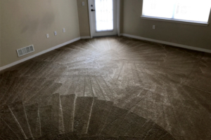 Tallahassee Carpet Cleaning Case Studies 