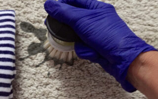 Cleaning Carpet Stains image cover image