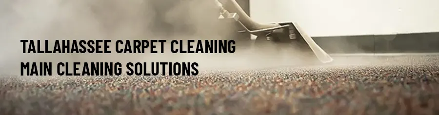 Carpet Cleaning Solutions Ad