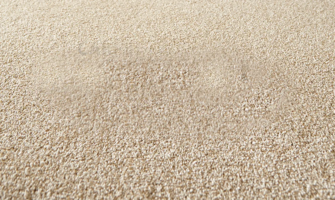 Tallahassee Polyester Carpet Easy to Clean
