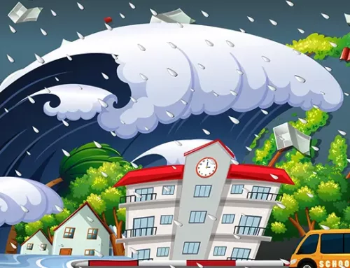 How to Prepare For a House Flood: Florida Guide