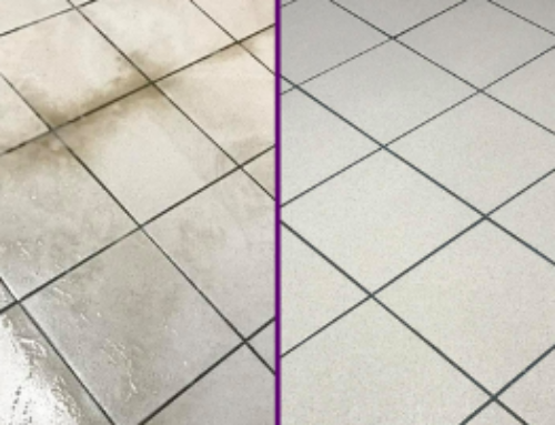 Prevent Mold and Mildew with Tile & Grout Cleaning This Spring