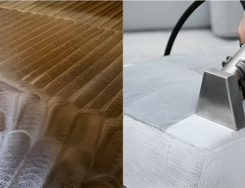 Tackle Humidity and Pollen: Carpet & Upholstery Cleaning Tips