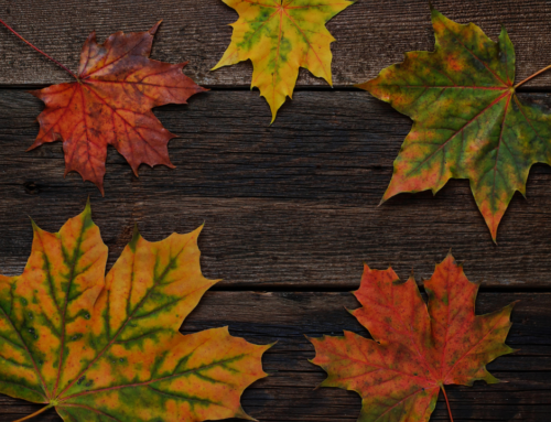 How to Prepare Your Home for Fall After a Humid Summer